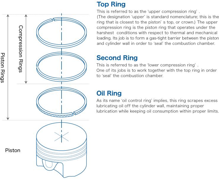 piston One of each of the above ring types, 'top', 'second&a...